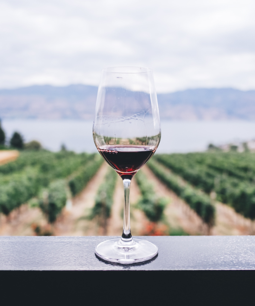 Niagara wine tours