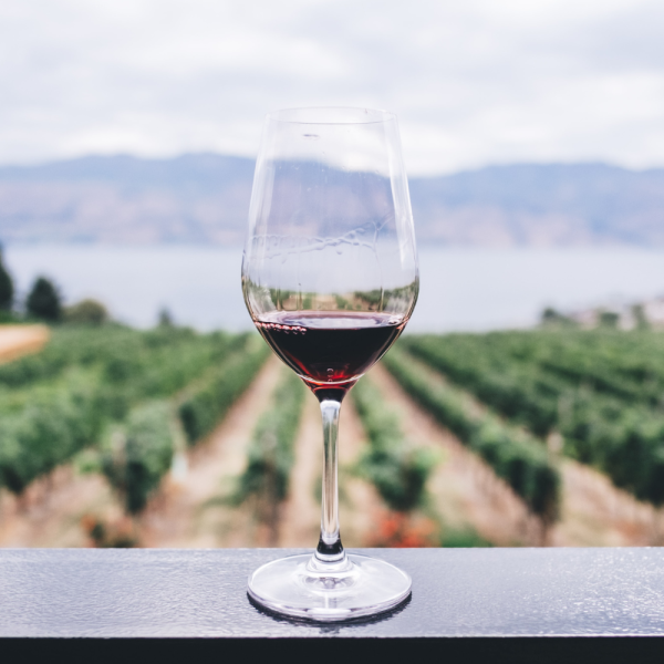 wine tour 1 Limo Service wine tour