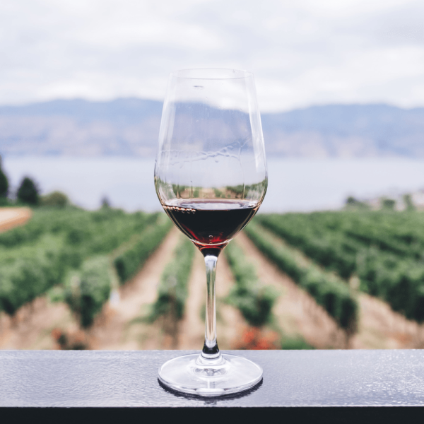 Limo Service wine tour